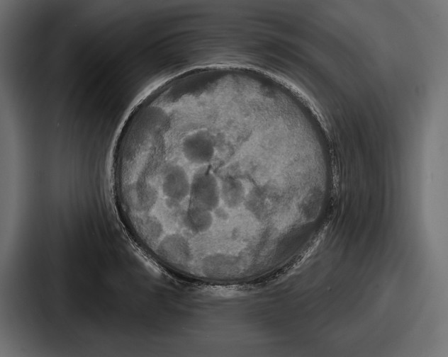 X0000086730990200705111611