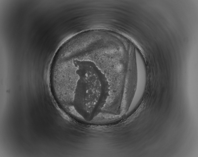 X0000086730991200705111611