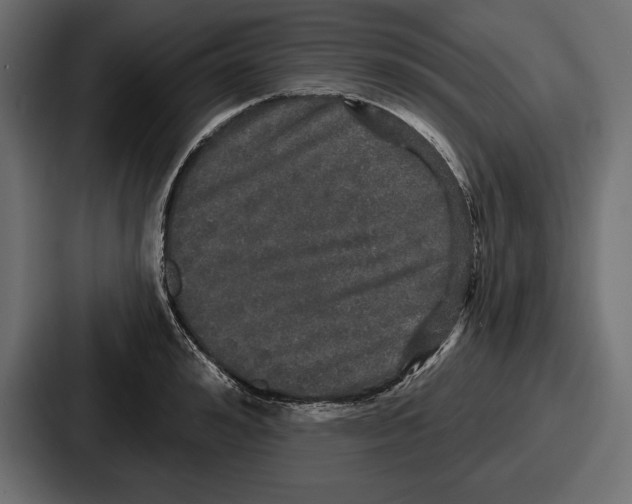 X0000086730992200705111611