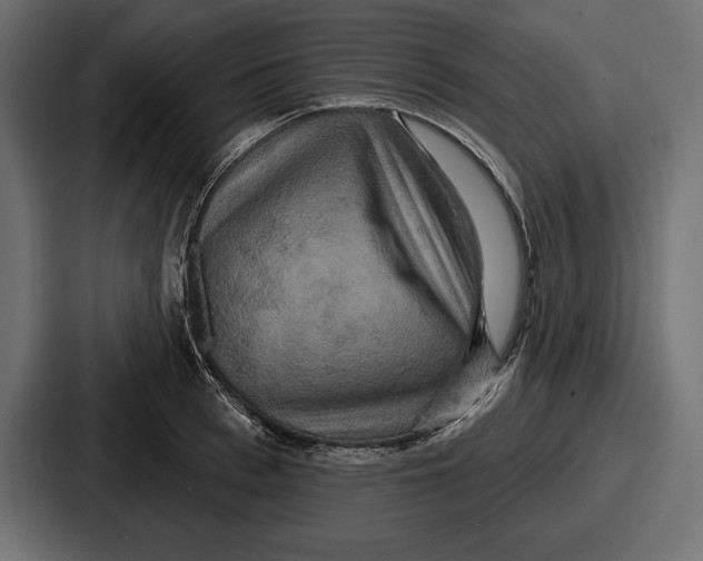 X0000086730993200705111611