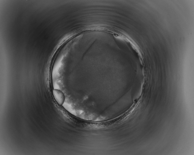 X0000086730994200705111611