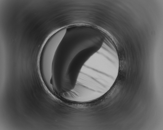 X0000086730995200705111611