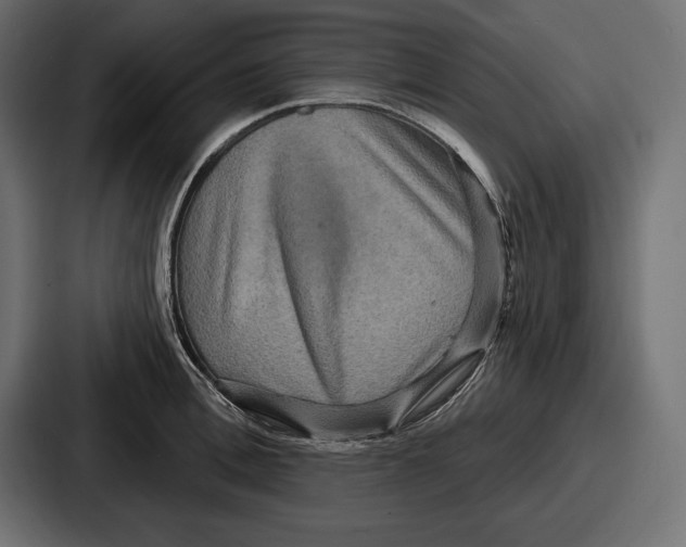 X0000086730996200705111611