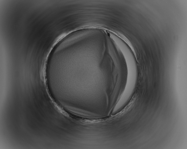 X0000086730997200705111611