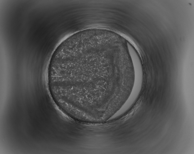 X0000086730999200705111611