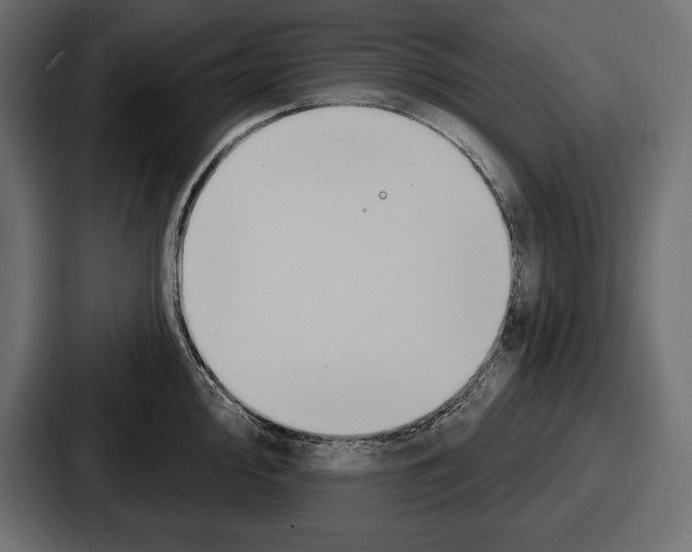 X0000086731000200705111611