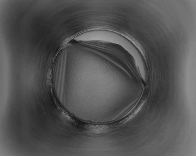 X0000086731001200705111611