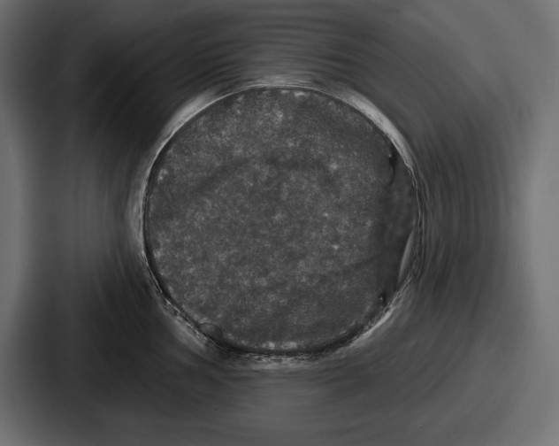 X0000086731002200705111611