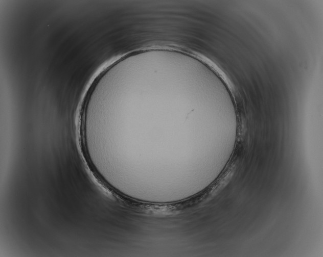 X0000086731003200705111611