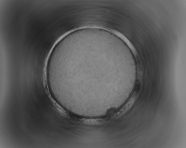 X0000086731004200705111611