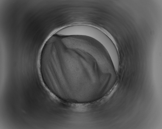 X0000086731005200705111611
