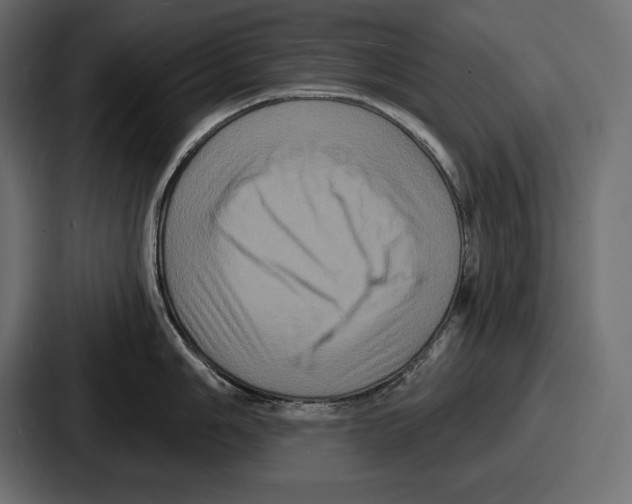 X0000086731006200705111611