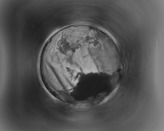 X0000086731007200705111611