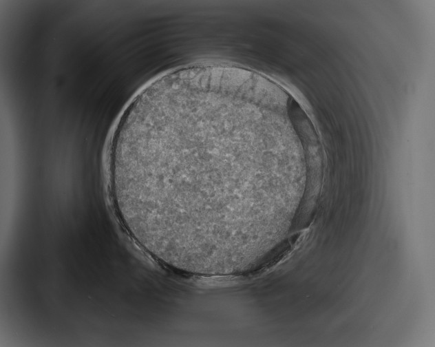 X0000086731008200705111611