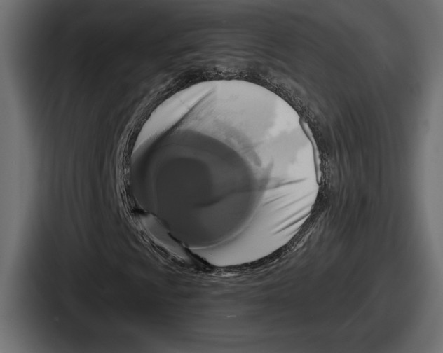 X0000086731009200705111610