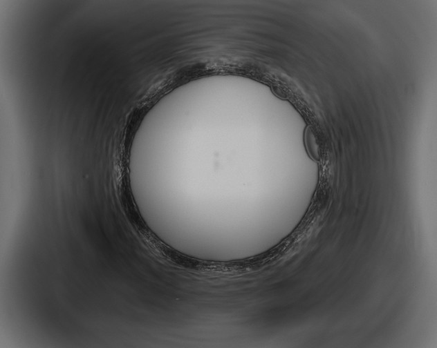 X0000086731012200705111610