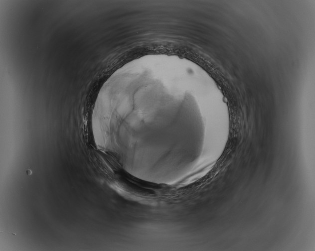 X0000086731013200705111610