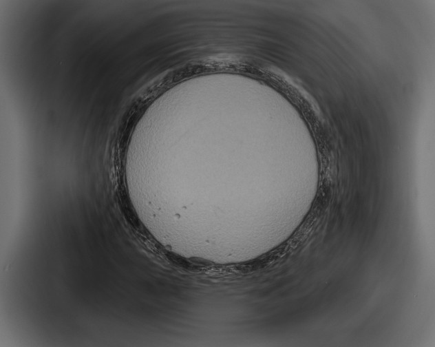X0000086731015200705111610