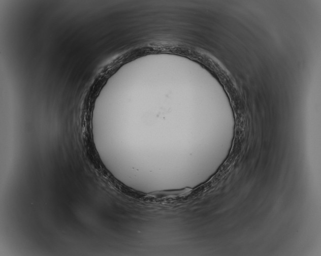 X0000086731016200705111610