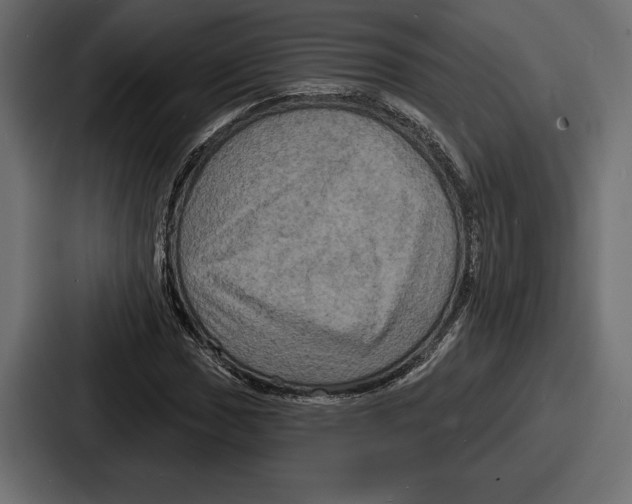 X0000086731017200705111610