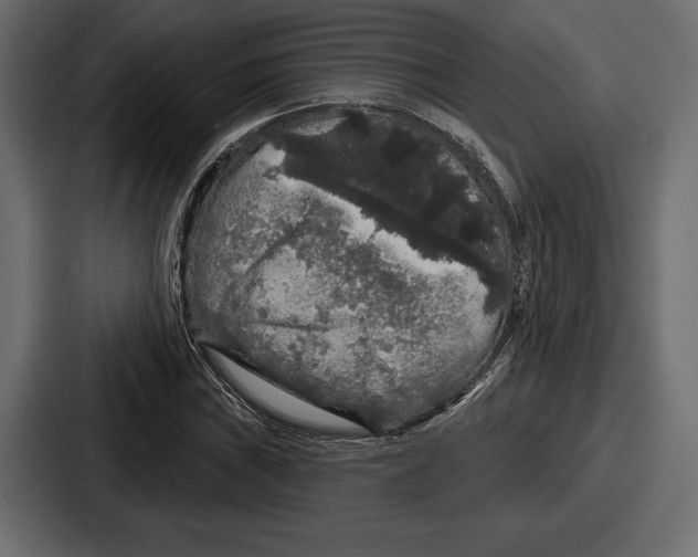 X0000086731019200705111610