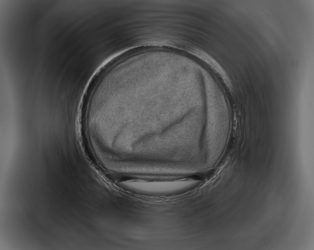 X0000086731020200705111610
