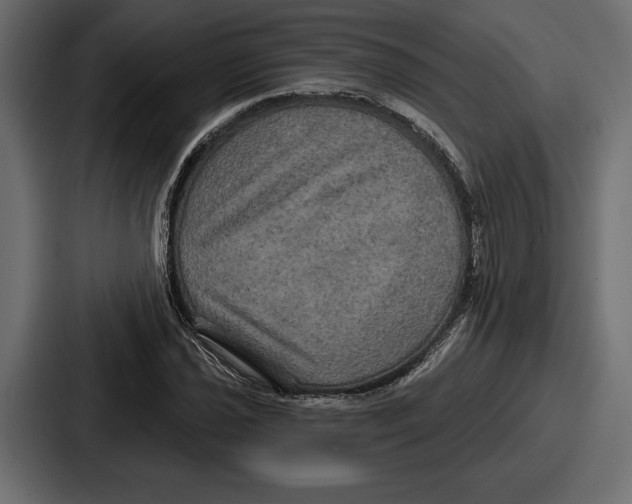 X0000086731021200705111610