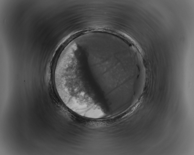X0000086731023200705111610