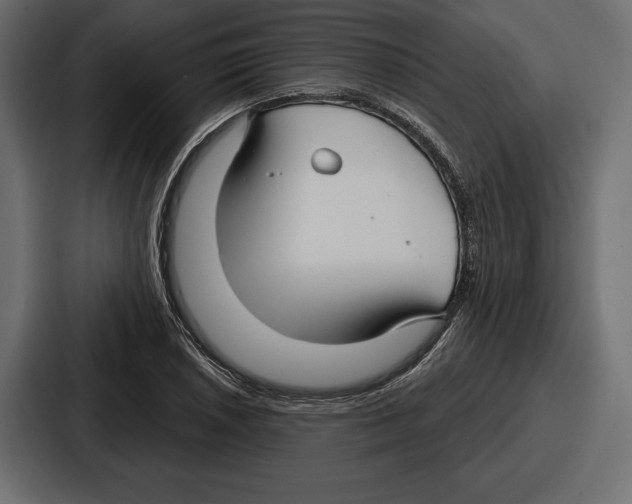 X0000086731026200705111610