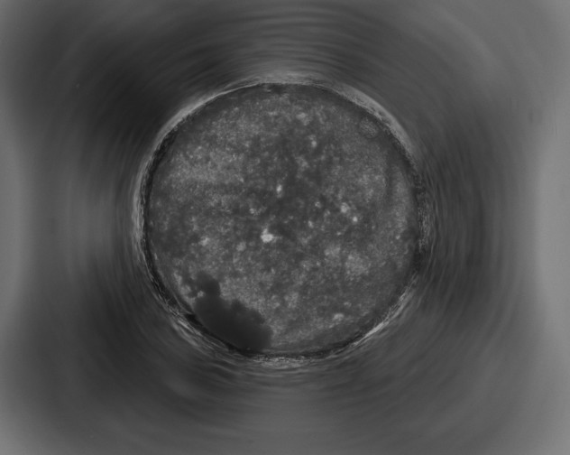 X0000086731027200705111611