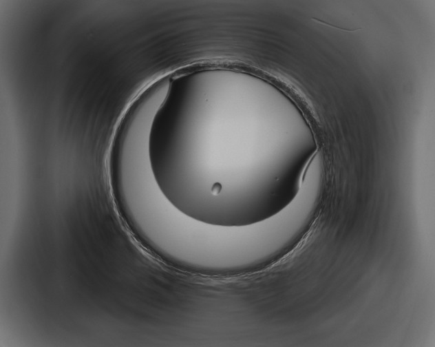 X0000086731030200705111611