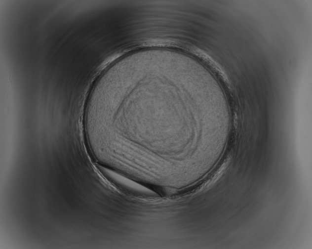 X0000086731033200705111611