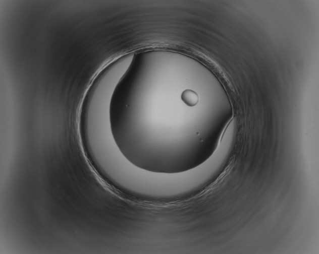 X0000086731034200705111611