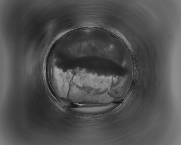 X0000086731035200705111611