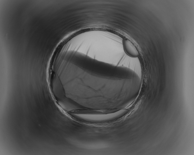 X0000086731037200705111611