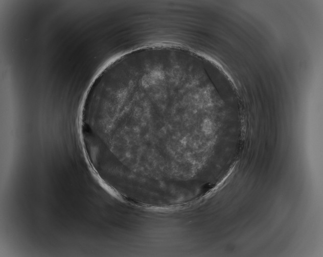 X0000086731038200705111611