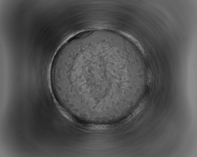 X0000086731039200705111611