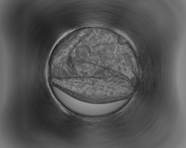 X0000086731040200705111611
