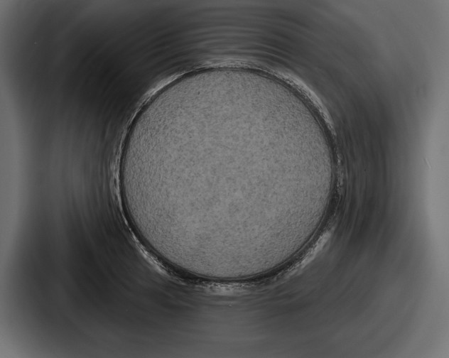 X0000086731041200705111611