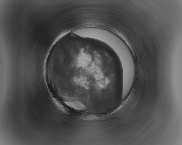X0000086731042200705111611