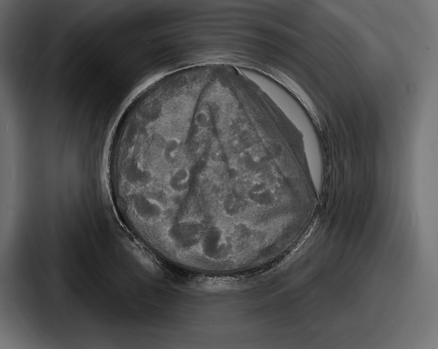 X0000086731043200705111611