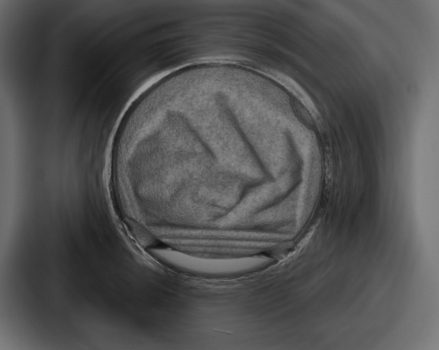 X0000086731044200705111611