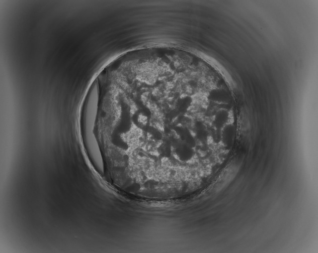 X0000086731047200705111611