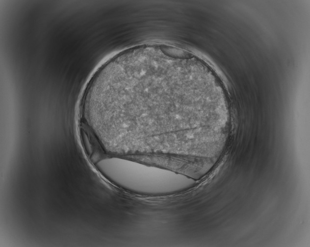 X0000086731048200705111611