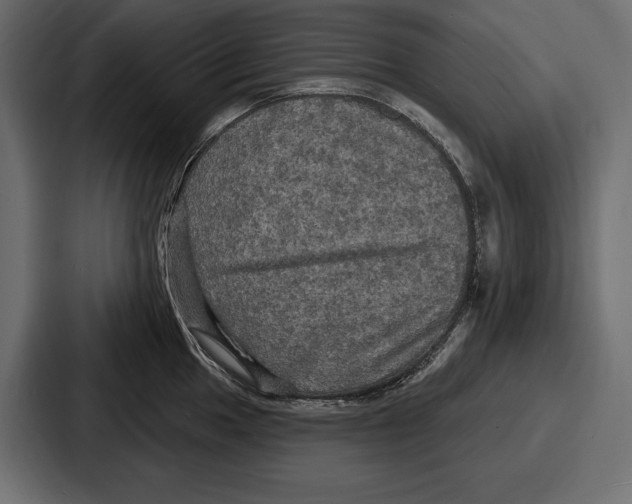 X0000086731049200705111611