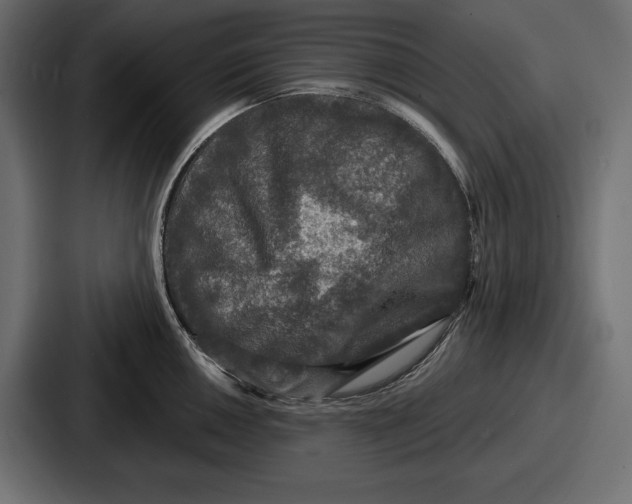 X0000086731050200705111611