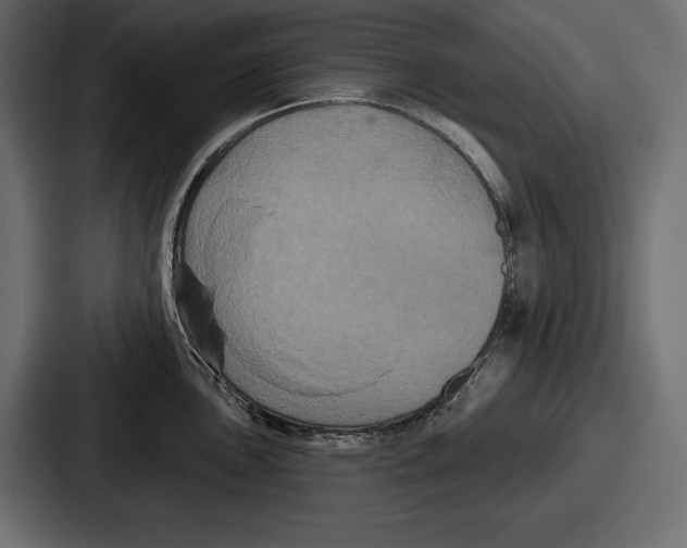 X0000086731051200705111611