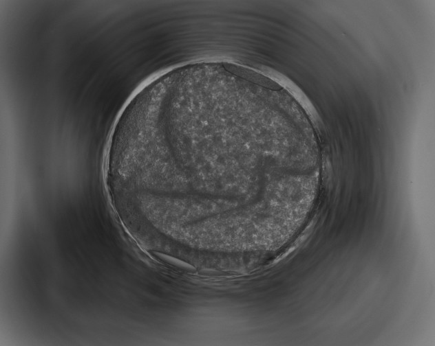 X0000086731052200705111611