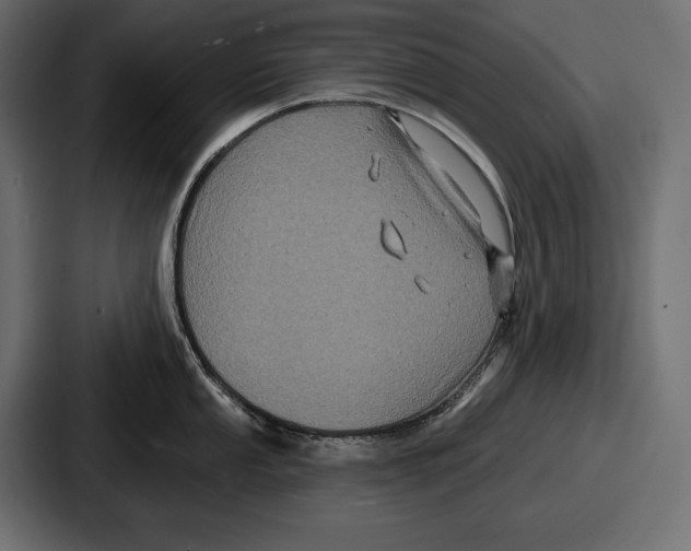 X0000086731053200705111611