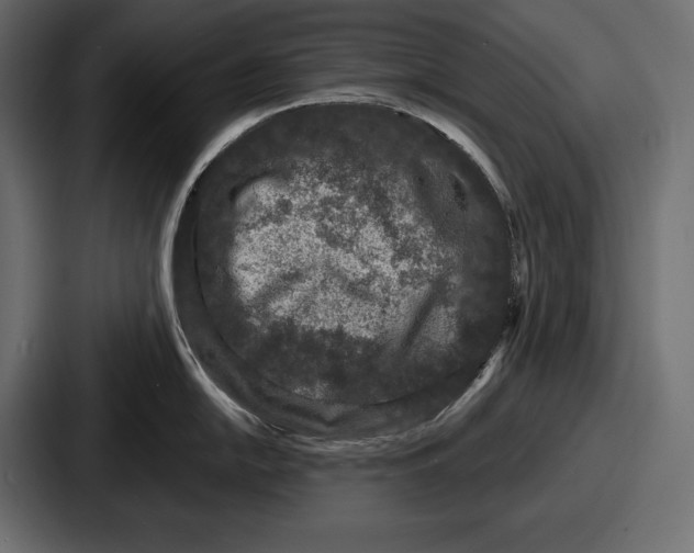 X0000086731054200705111611